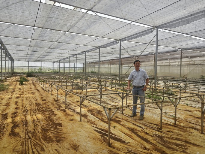 Hình ảnh xót xa ở dự án nông nghiệp hữu cơ lớn nhất Việt Nam 